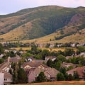 The Political Landscape of Littleton, CO: A Closer Look